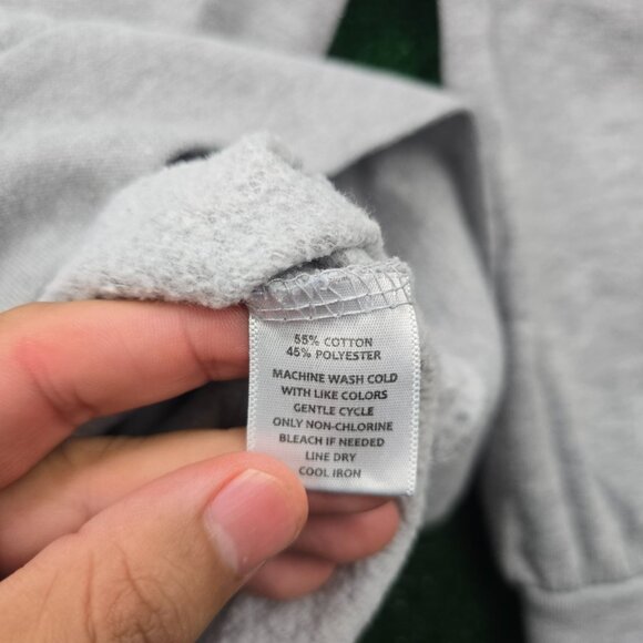 Wright State University Raiders Men Hoodie Large Gray Sweatshirt Pullover Fleece - Picture 6 of 7